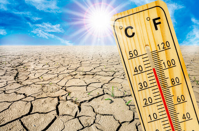 drought_summerHeat